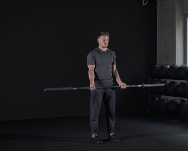Barbell Curls