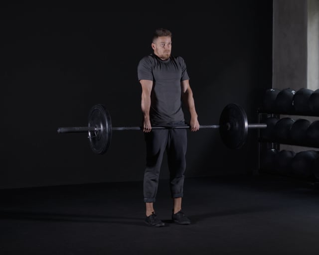 Shoulder Shrugs - Barbell