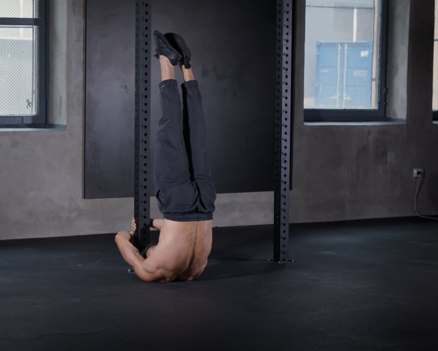 Dragon Flag Negatives