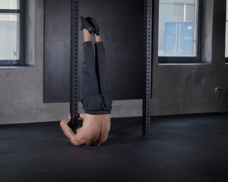 Dragon Flag Negatives