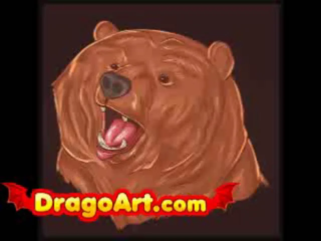 How to draw a realistic bear, step by step on Vimeo