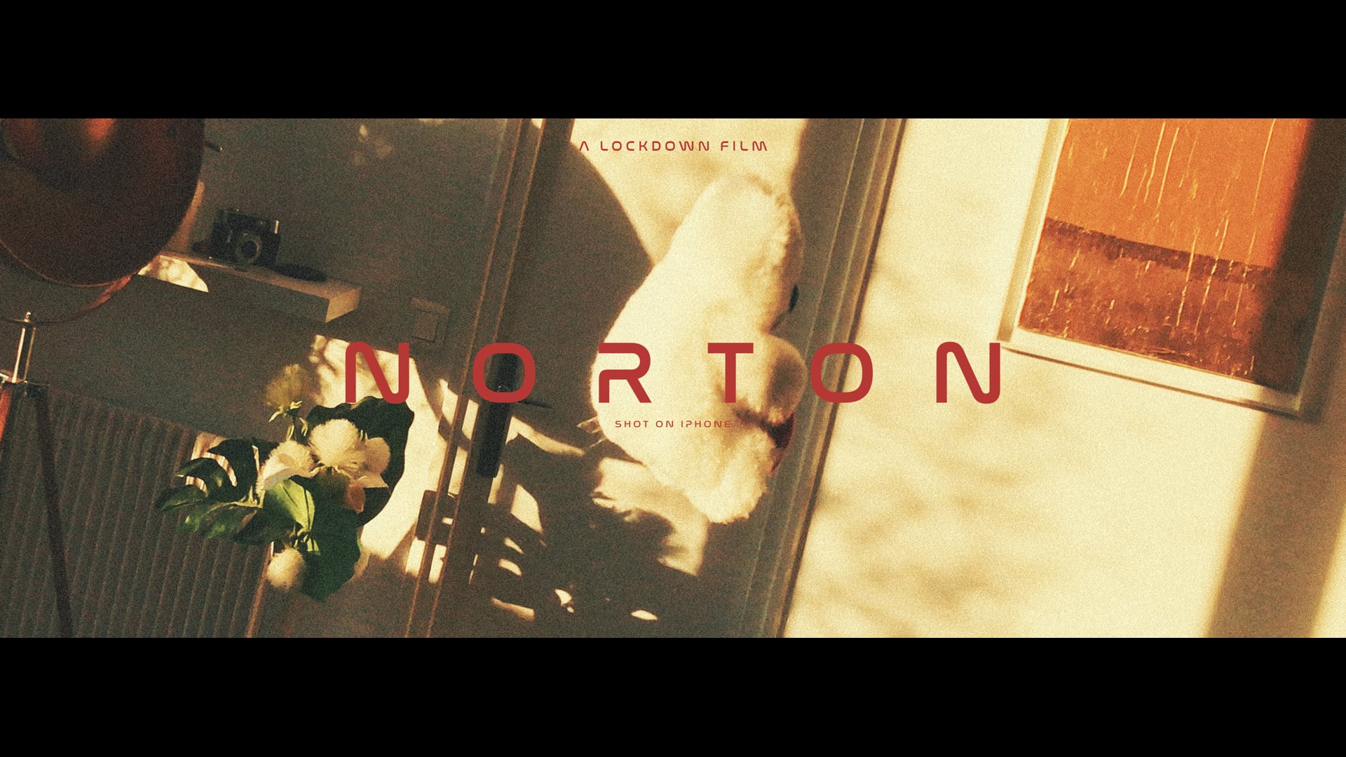 N O R T O N