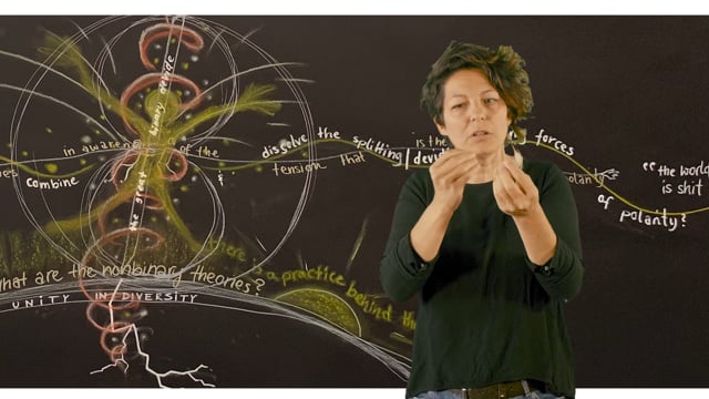 SYNOPTIC - INTEGRALE PRAKTIKER (EN)