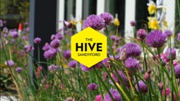 The Hive | Sandyford