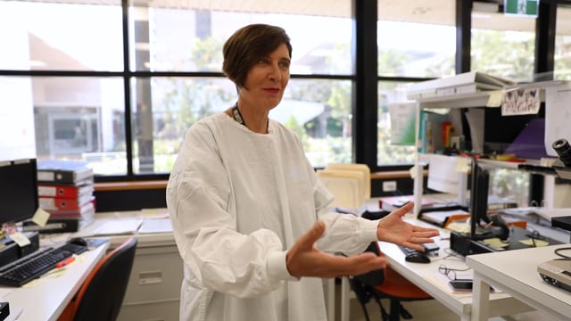 Ramaciotti Foundation