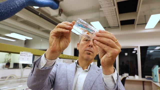 Ramaciotti Foundation