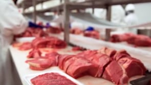 Curs de manipulador d'aliments online