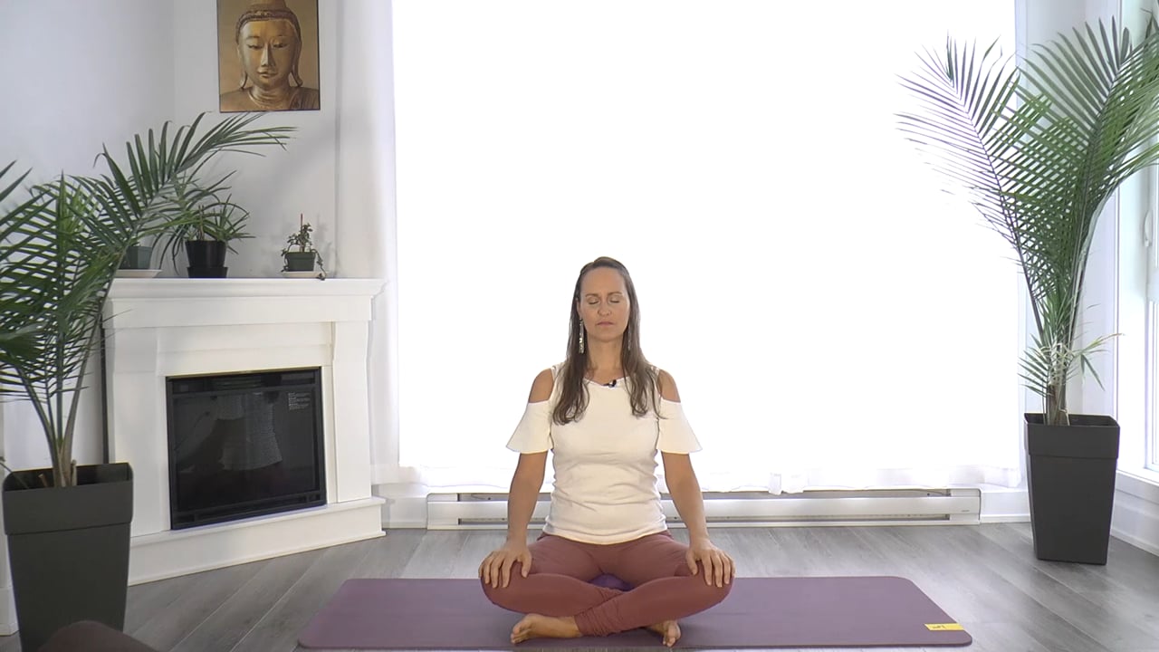 1-Cours de yogathérapie - Réduire la pression (hypertension) (1 h 33)