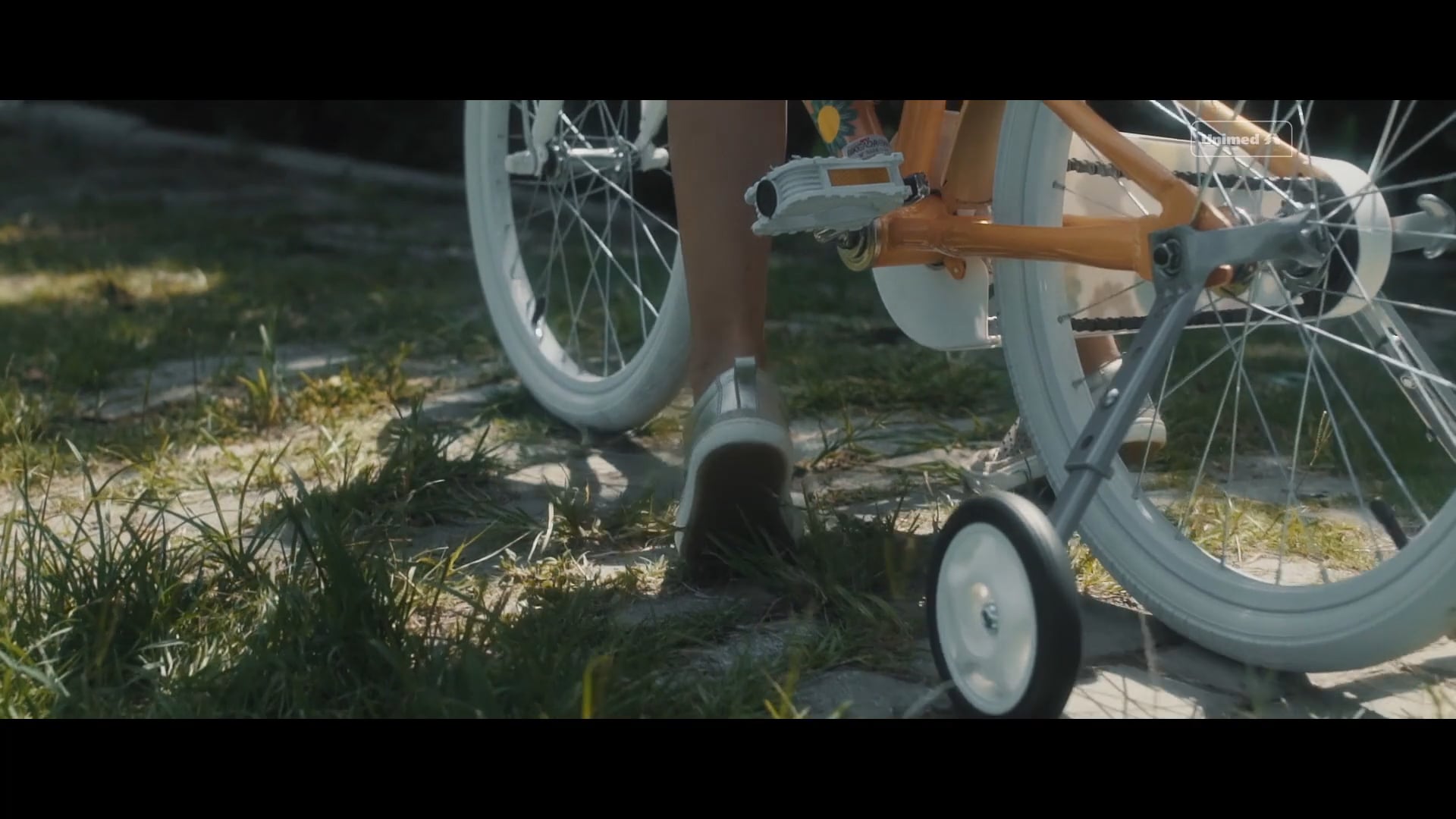 UNIMED - Confiança