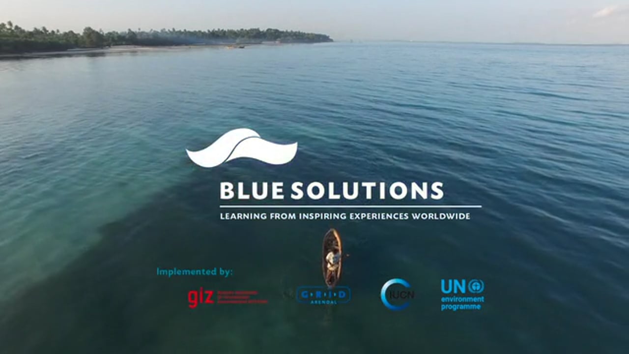 Blue Solutions - voices from the ocean community