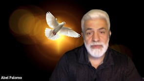 video image