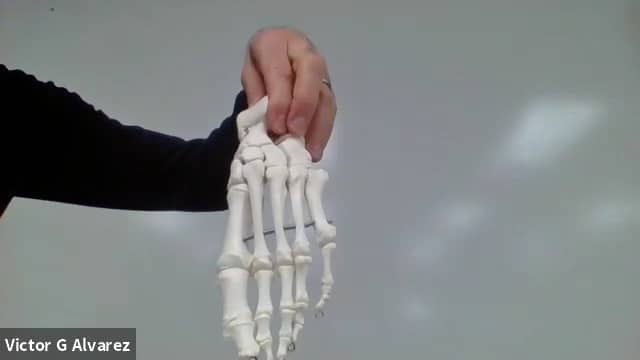 Articulated foot on Vimeo