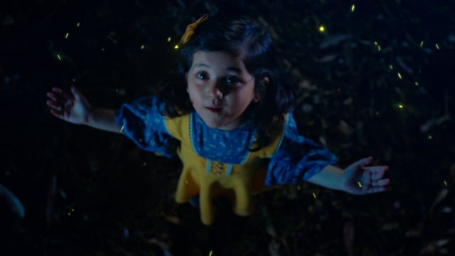 Maruti Suzuki Dzire I Fireflies