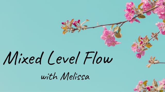 Mixed Level Flow with Melissa