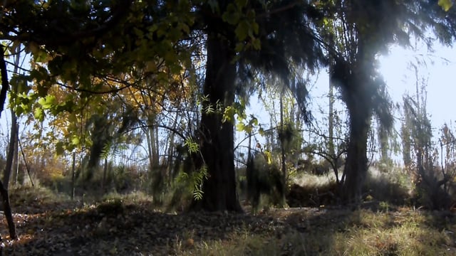 Documental reflexivo: la ciudad narcisista