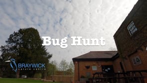 Bug Hunt