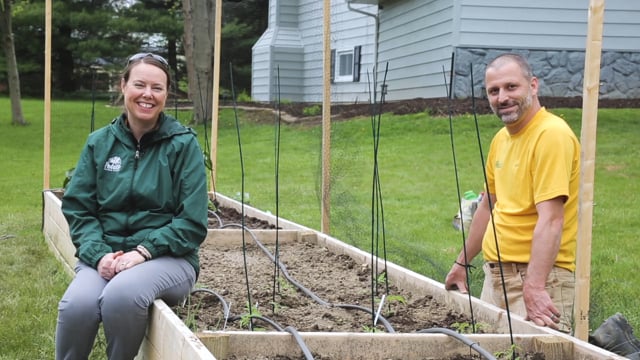 PETITTI Vegetable Gardening in Raised Beds | Part 6: Irrigating with a Soaker Hose