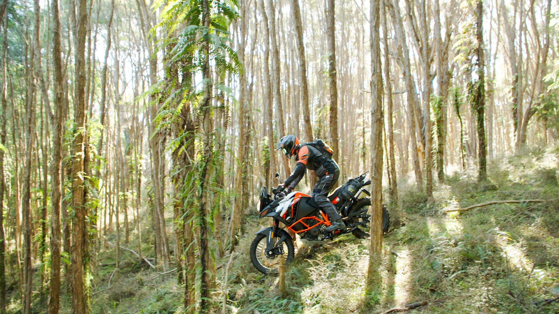 12 Hours with the 1290 Super Adventure R - KTM
