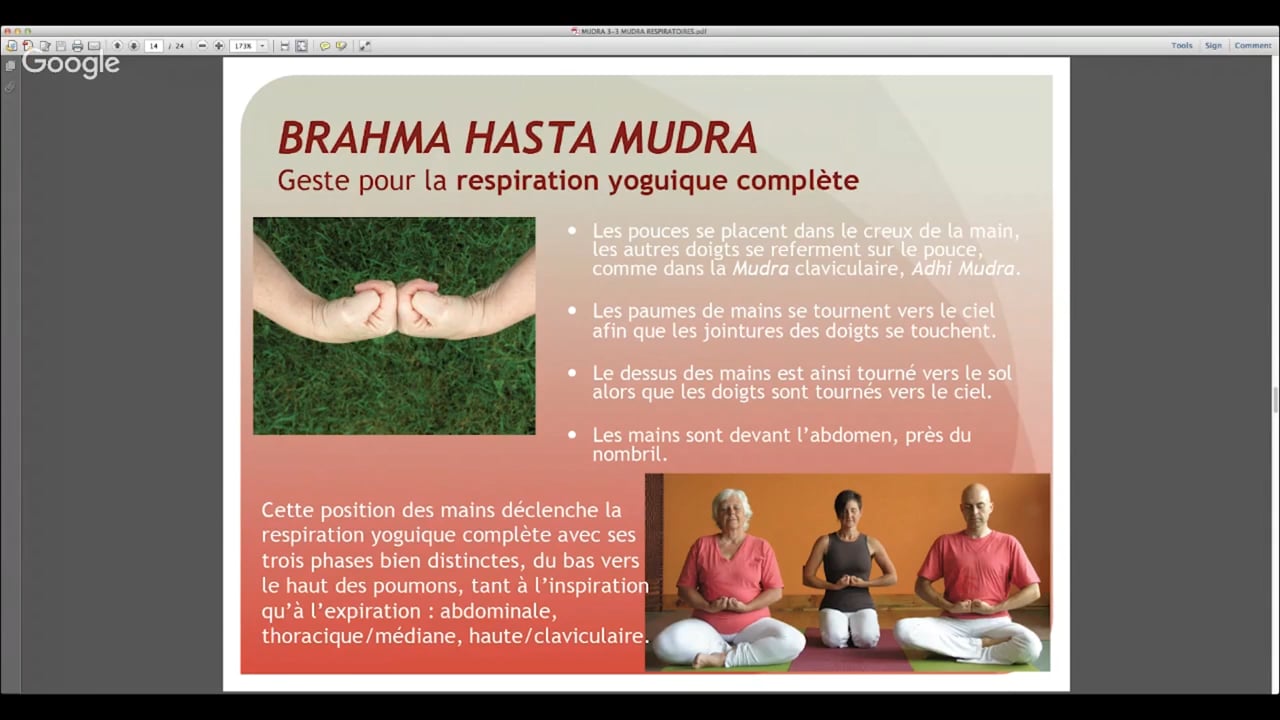 16. Brahma Hasta Mudra de Locana Sansregret (11 minutes dans la série Mudra, des gestes conscients pour le pranayama)