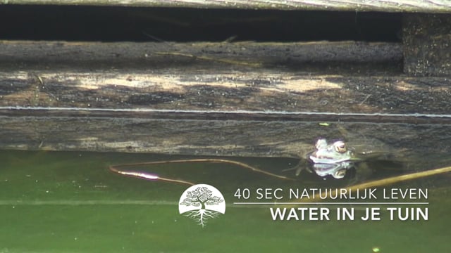 40 sec Natuurlijk Leven – Water in je tuin