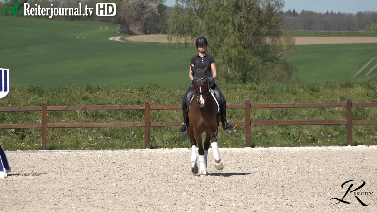 Quarantäne-Training mit Katrin Burger - Teil 8 - präsentiert von RIDENTITY