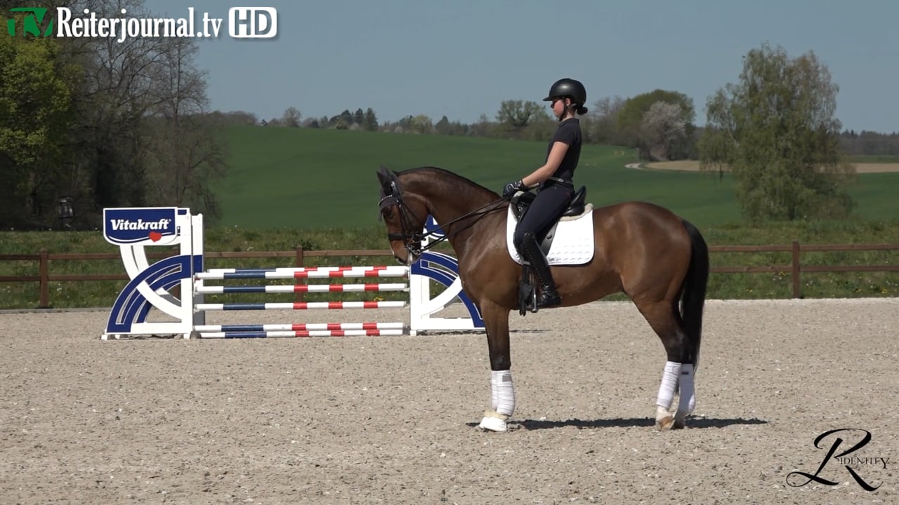 Quarantäne-Training mit Katrin Burger - Teil 9 - präsentiert von RIDENTITY