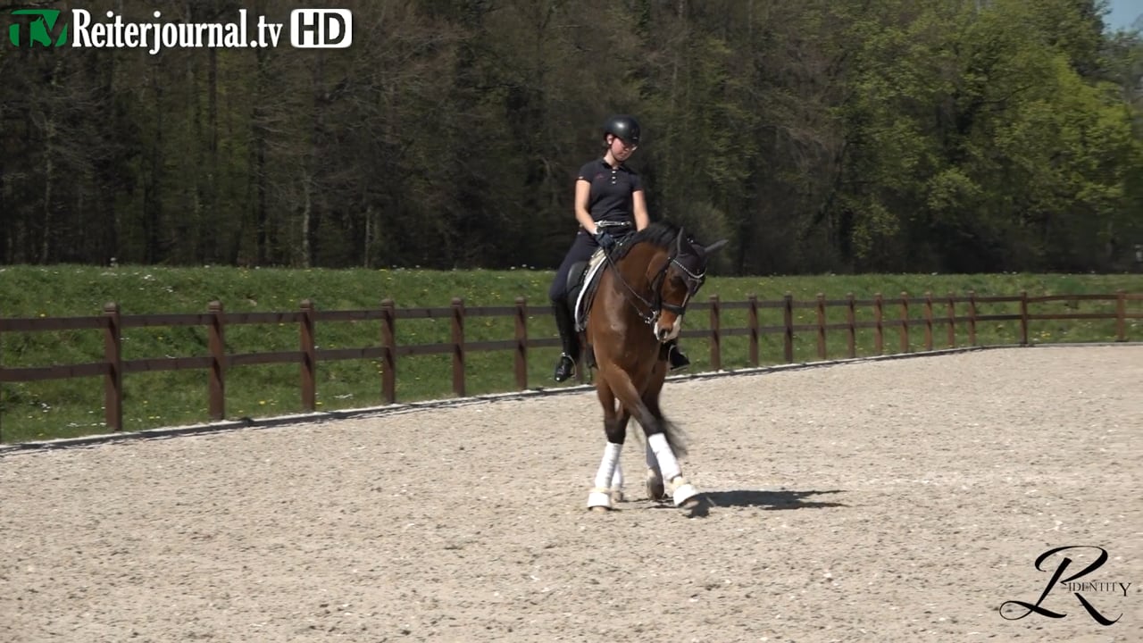 Quarantäne-Training mit Katrin Burger - Teil 10 - präsentiert von RIDENTITY