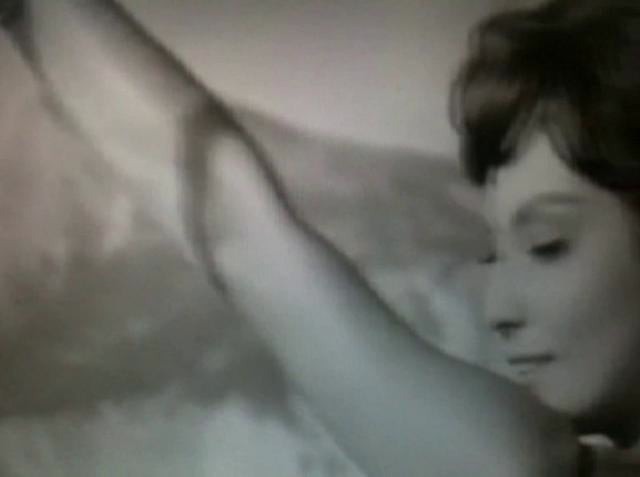 on Vimeo