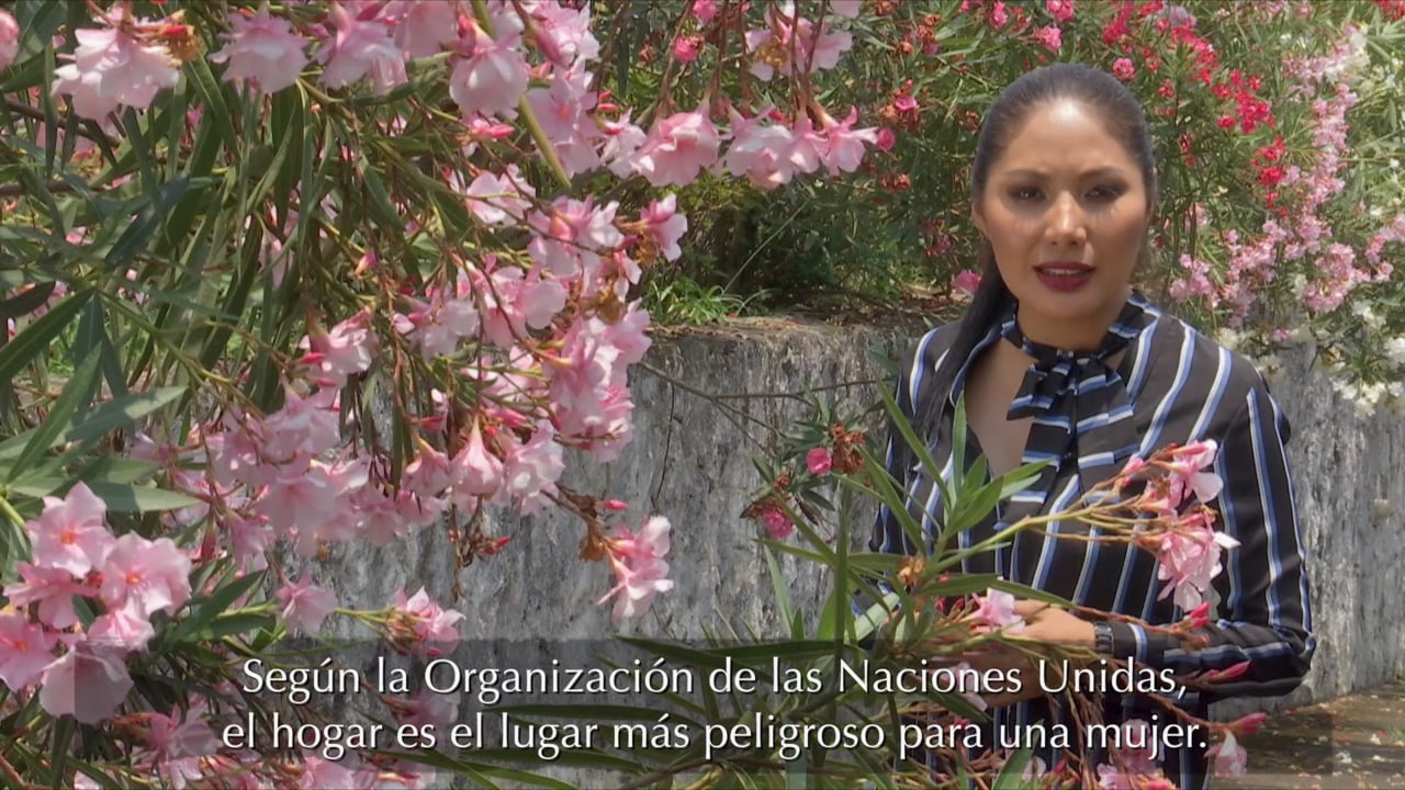 Violencia contra la Mujer