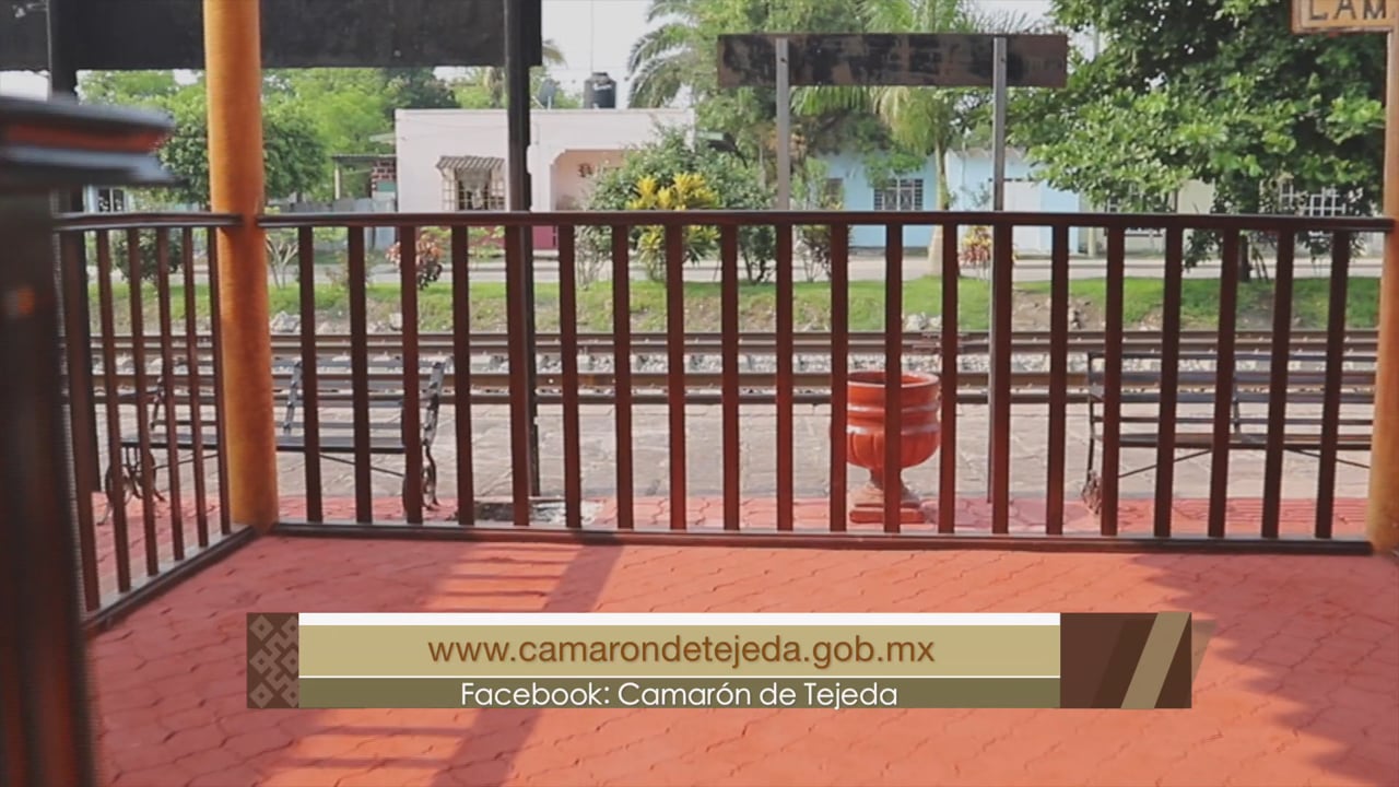 Disfruta de Orgullo Veracruzano Camarón de Tejeda, Orgullo Veracruzano Cápsulas RTV En Línea