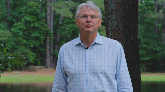 video image
