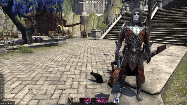 Elder Scrolls Online Mac problems continue to drag on