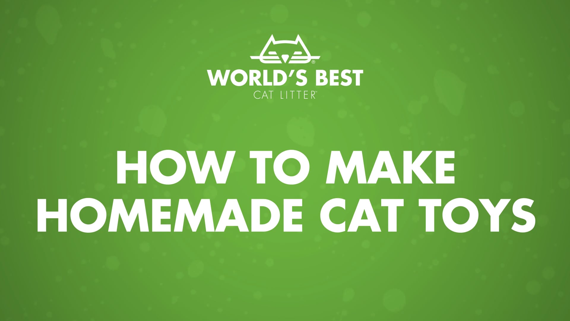 The 10 Best Homemade Cat Toys Your Cat Will Love