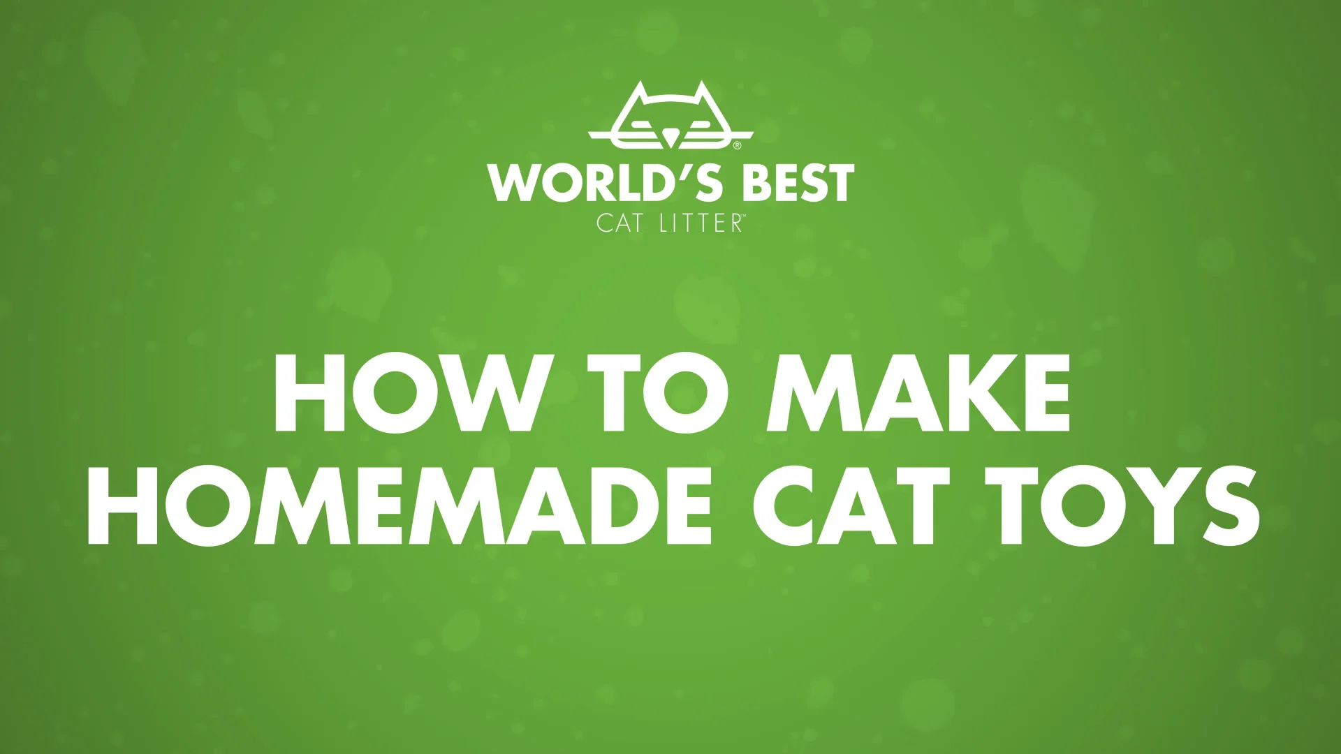 how-to-make-homemade-cat-toys-on-vimeo