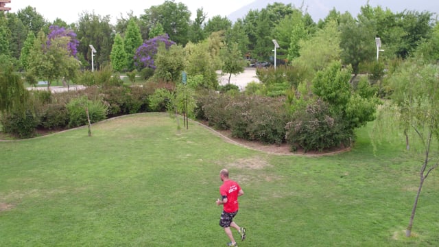 Tree Runners Landscape - Free video on Pixabay