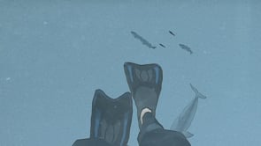 WWF - UK Seas