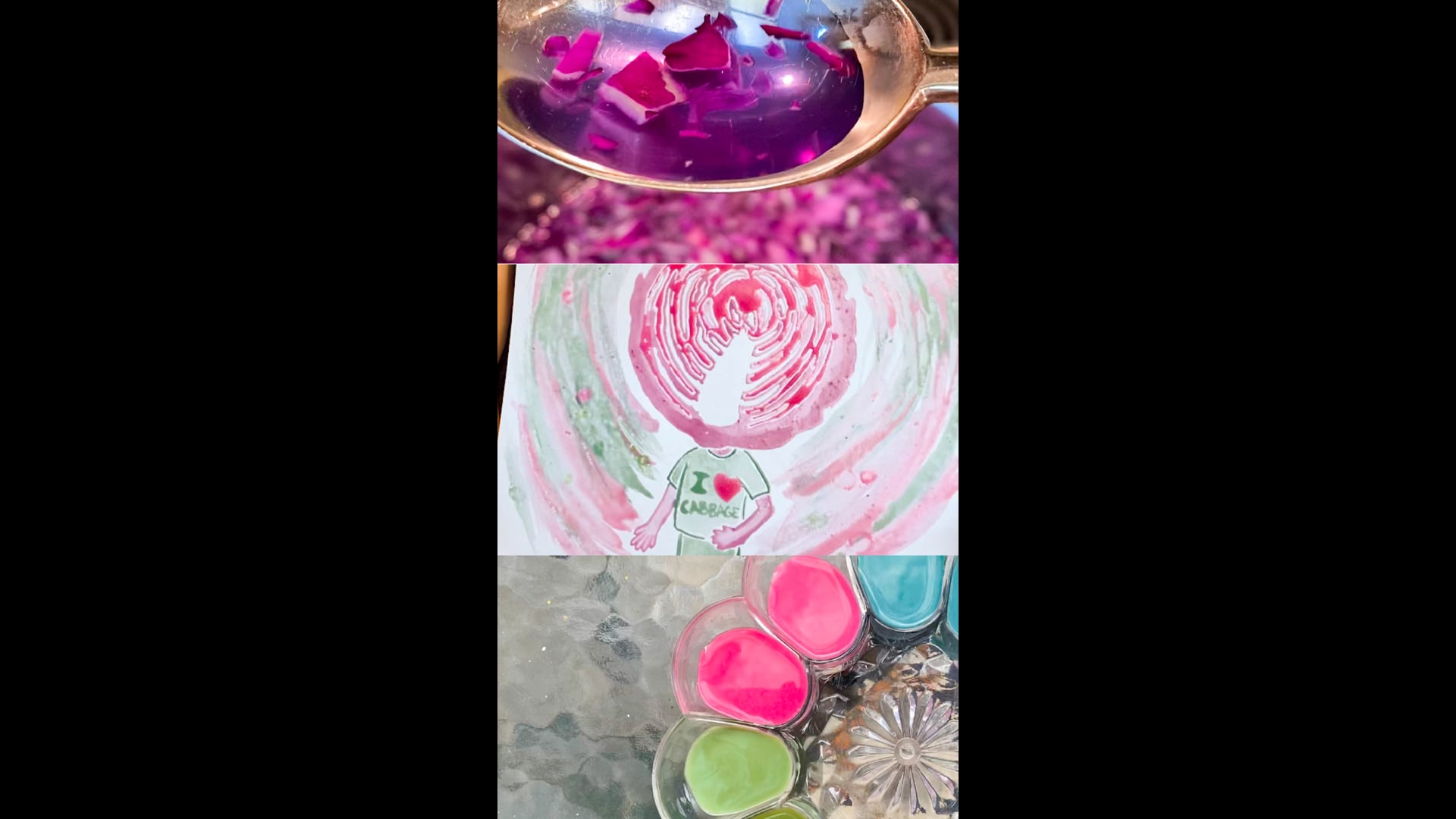 Make Paint out of Cabbage!