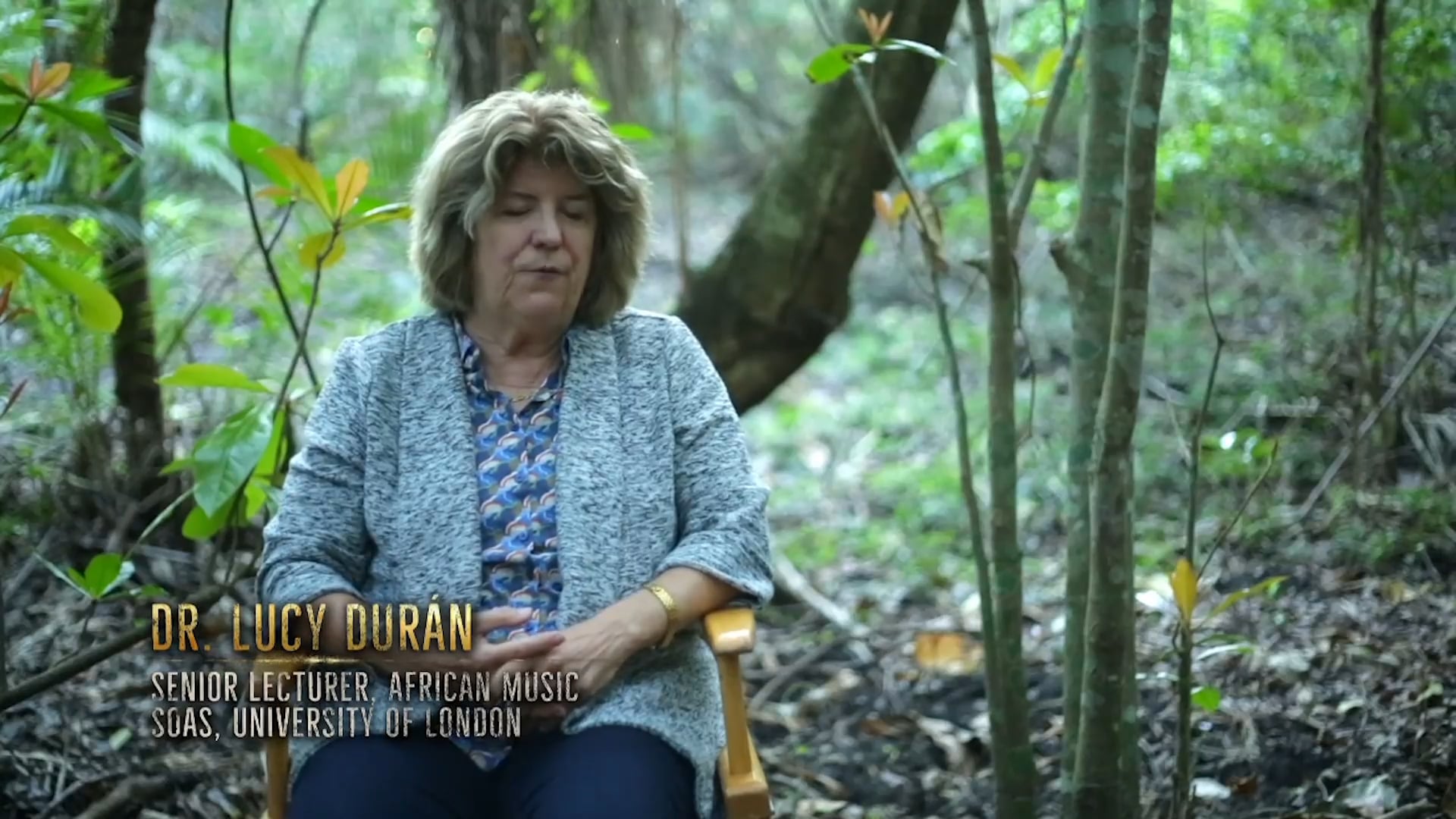 History - Roots A New Vison