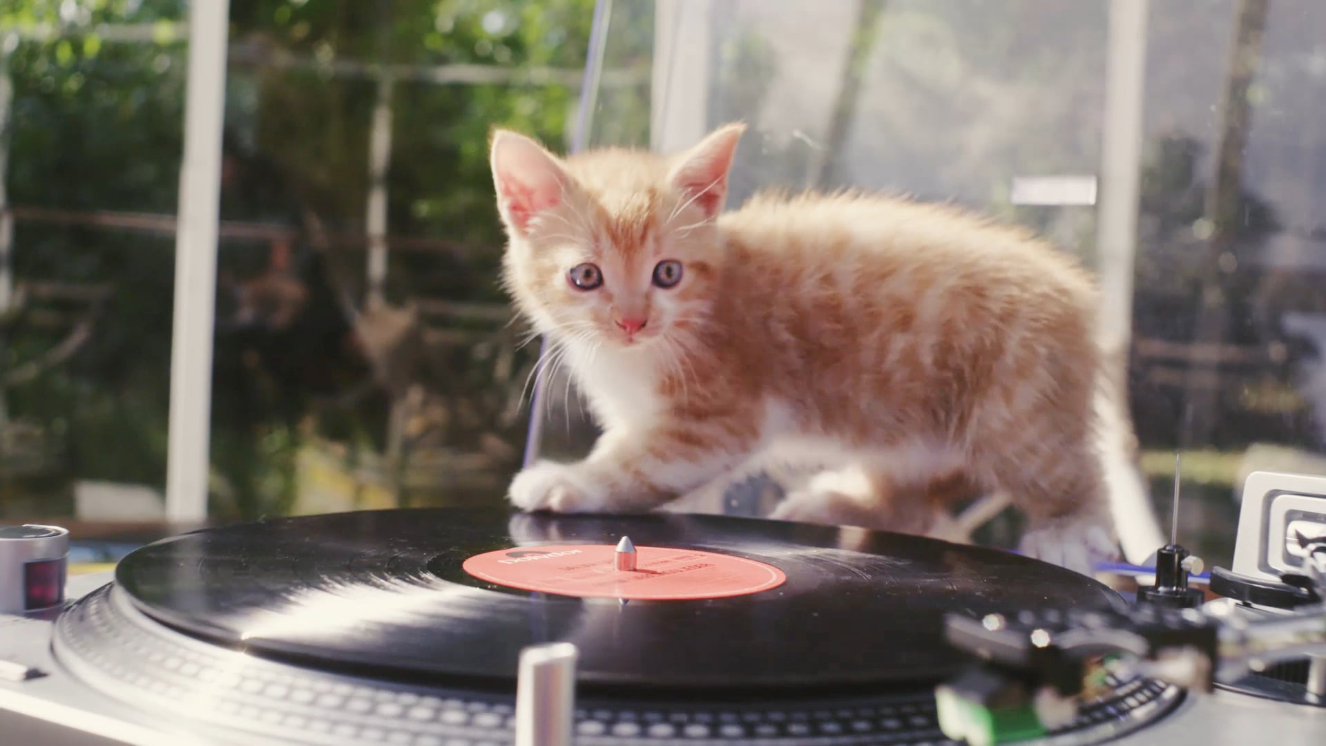 fressnapf "party party"