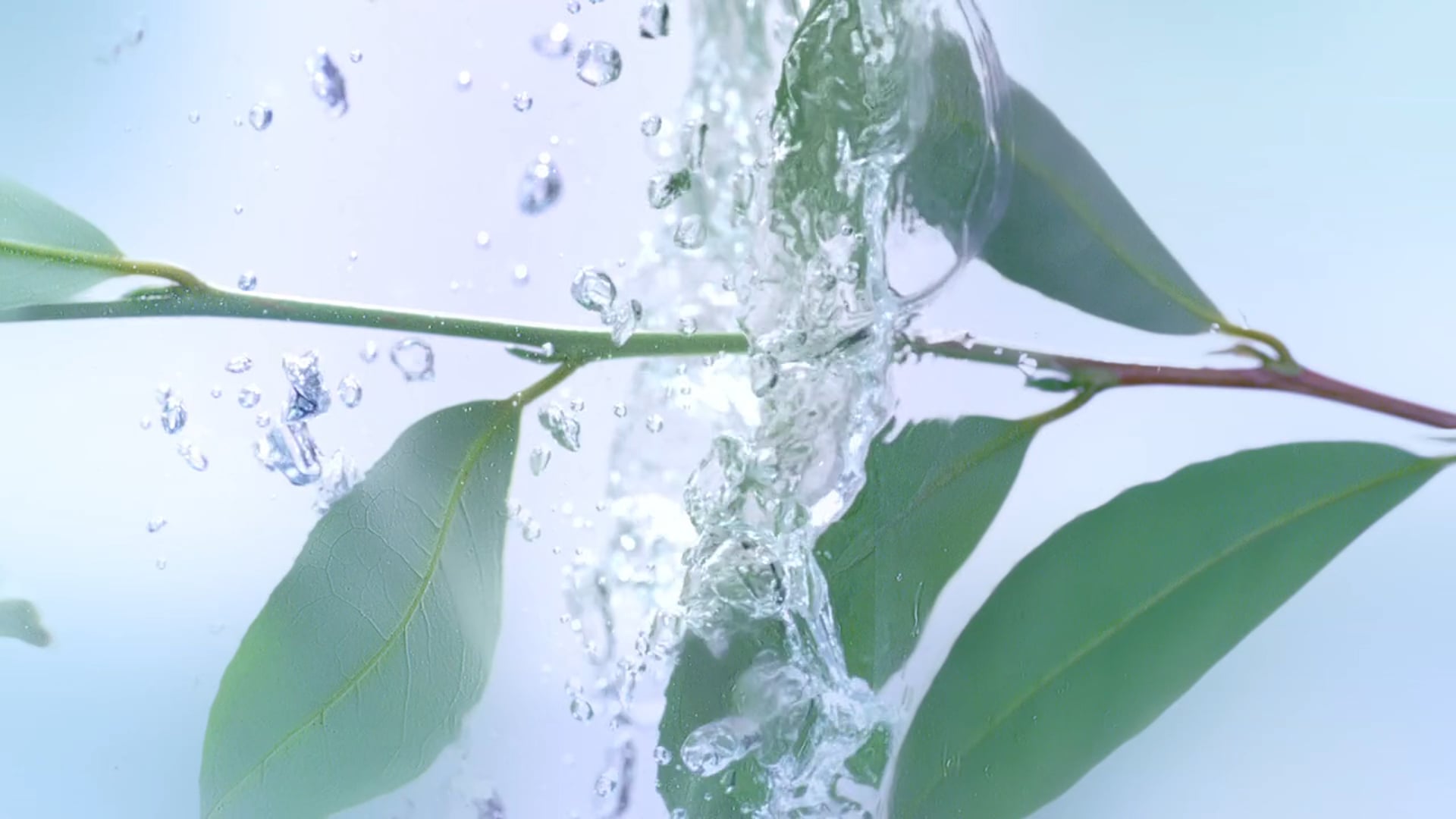 garnier "smartlife"