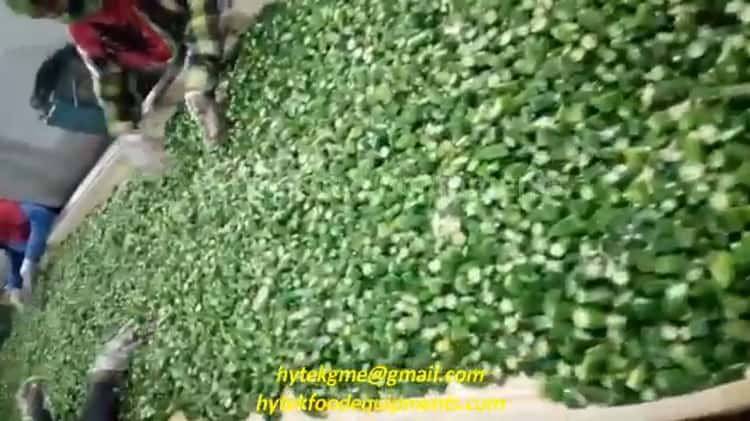 Automatic Vegetable Cutting machine/ Methi Chopping Machine / Saag / Palak Cutting  Machine - Hytek on Vimeo