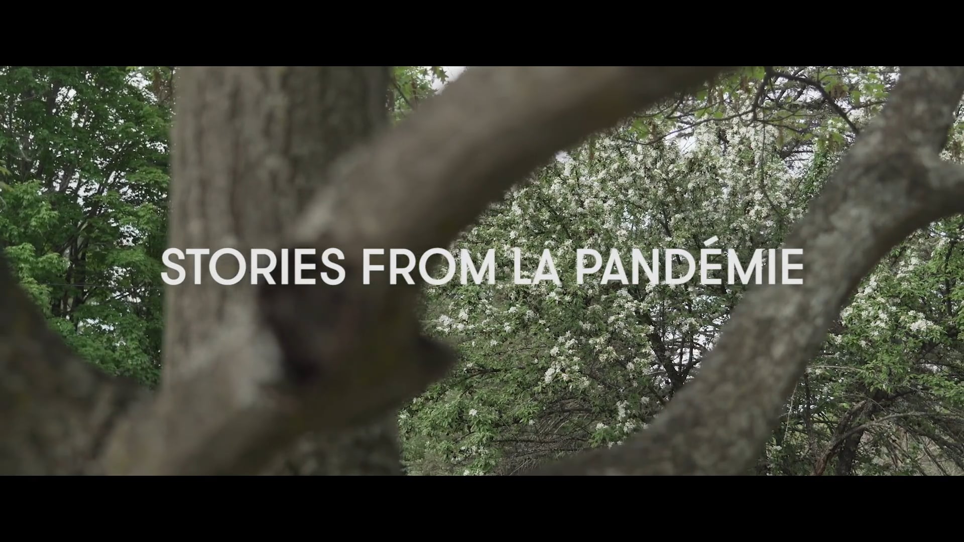 PROLOGUE #8 : Stories from la pandémie