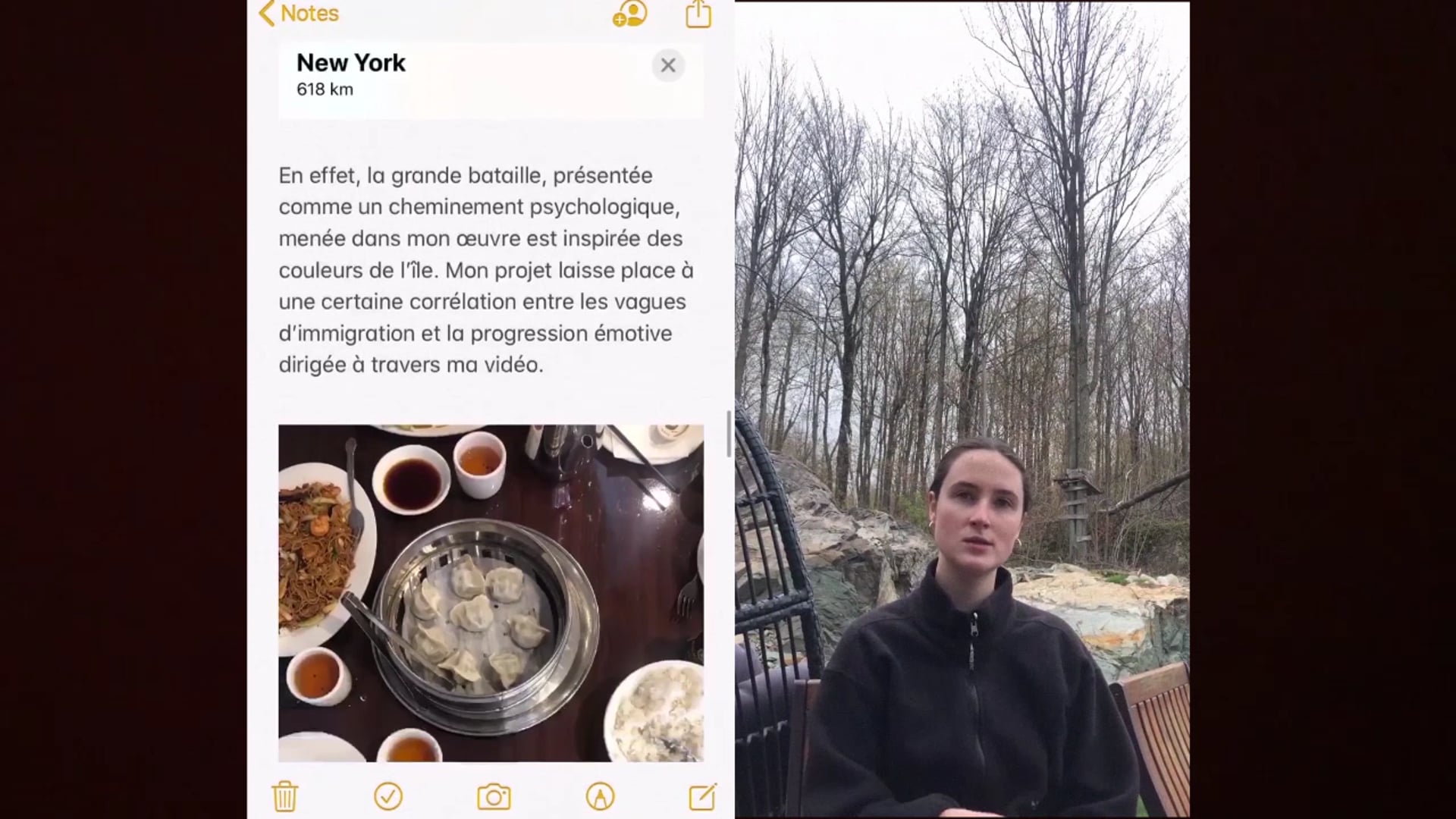 Présentation du projet de Laura Mercier