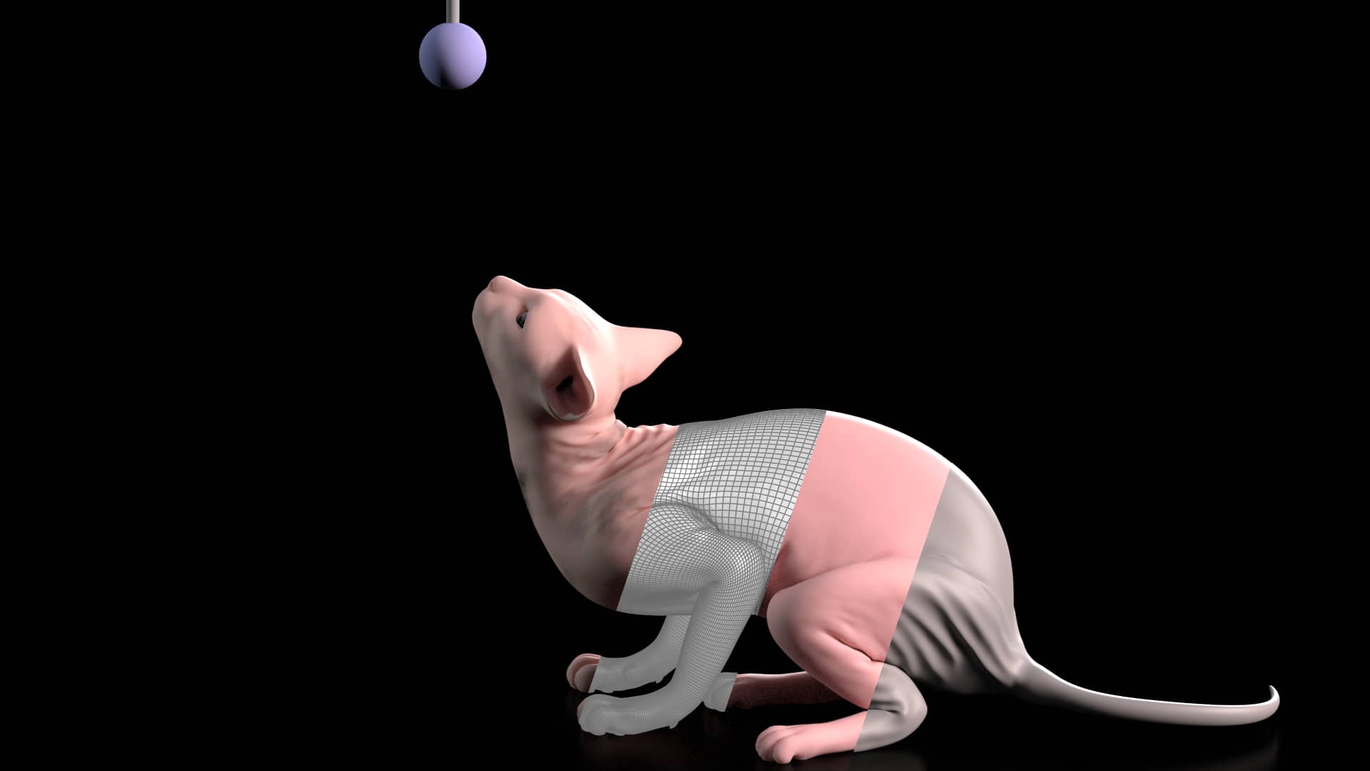 houdini vellum skin simulation on Vimeo