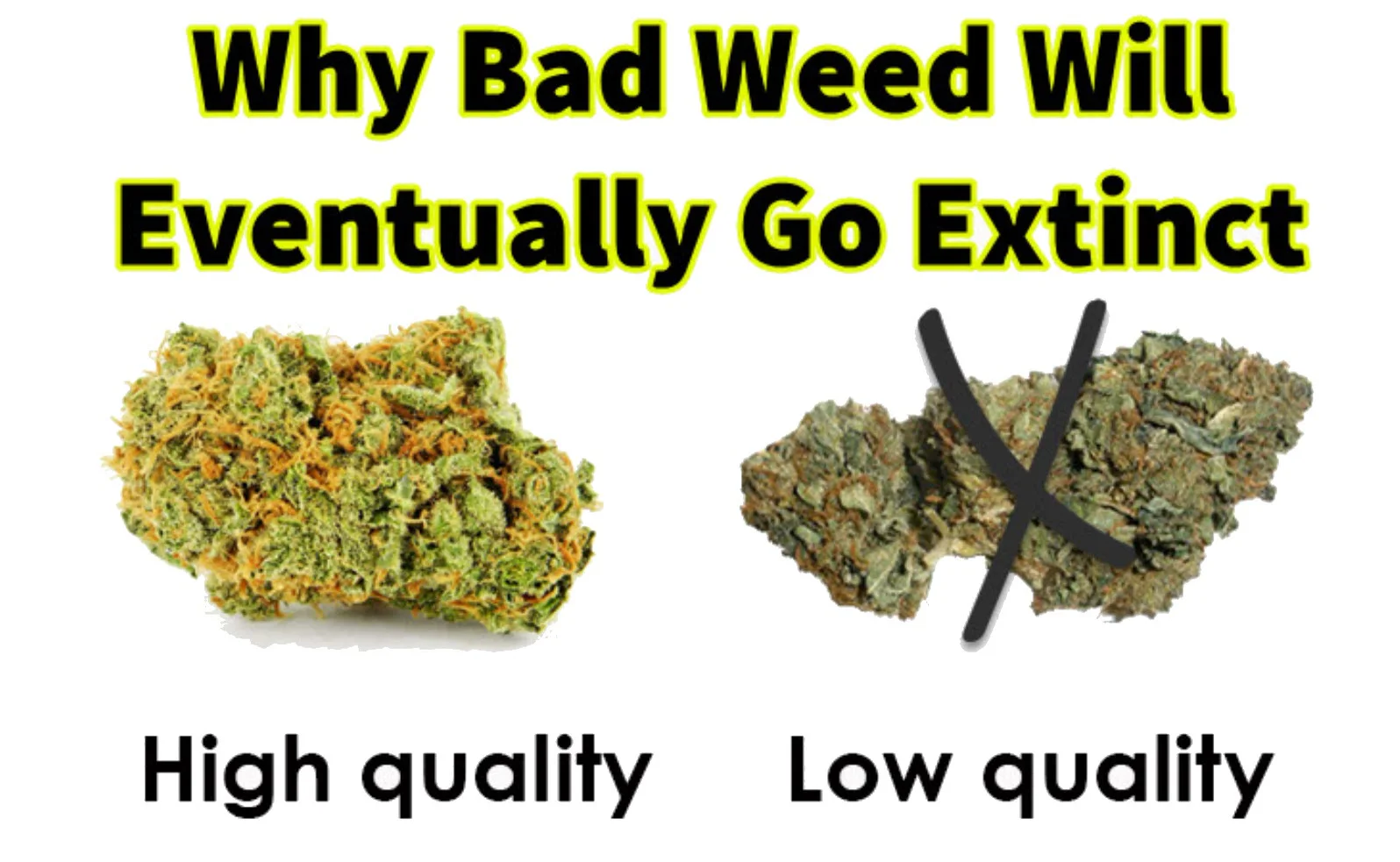 Simple and complex carbs. Why bad. Simple and complex carbs. Why i smile стихотворение. Why bad.