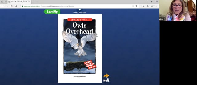 Read Aloud - Owls Overhead