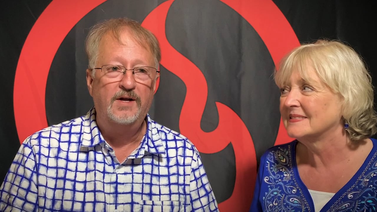 video image