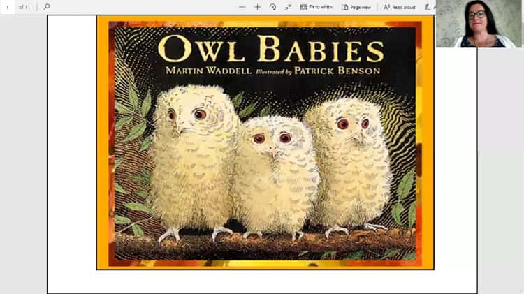 Owl babies read sales aloud