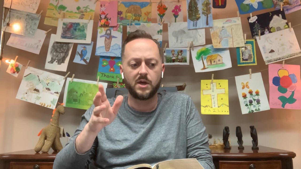 video image