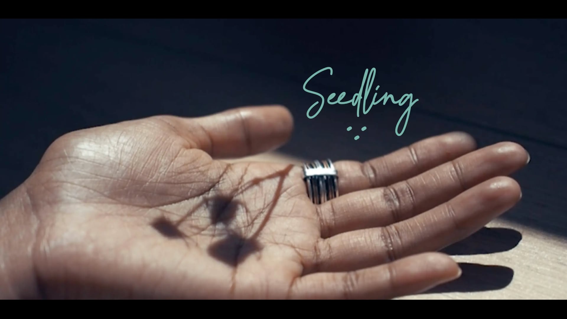 Seedling - Best Experimental Film Award (Short to the Point Festival, Bucharest)